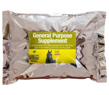 General Purpose Supp 2Kg Refill